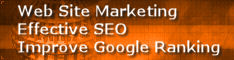 Search Engine Optimization and Website Marketing